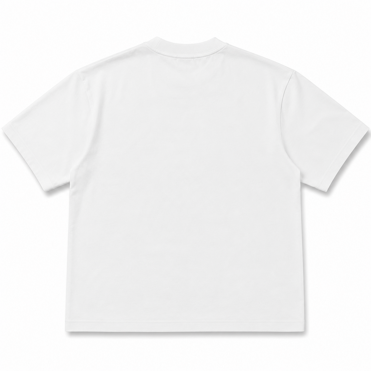 White box fit T-shirt on model